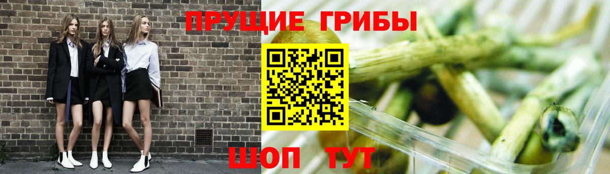 Псилоцибиновые грибы GOLDEN TEACHER Гусиноозёрск